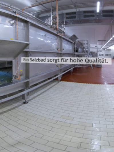 360° IM INNEREN DER MOLKEREI